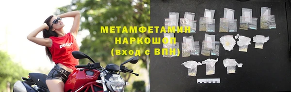 PSILOCYBIN Горняк