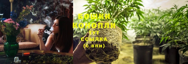 PSILOCYBIN Горняк