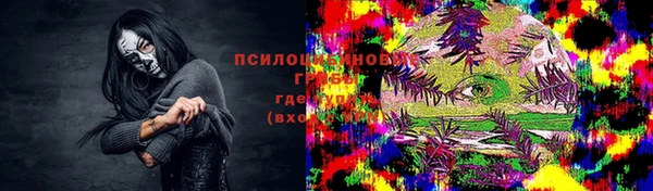 PSILOCYBIN Горняк