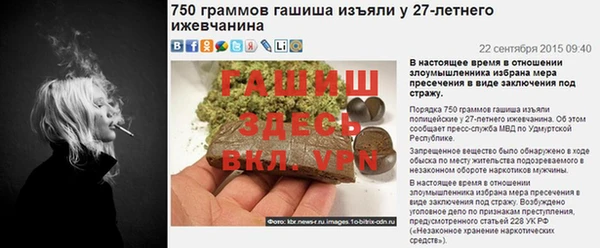 PSILOCYBIN Горняк