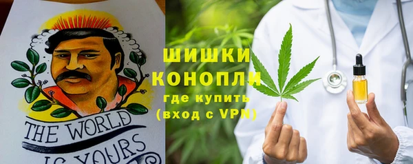 PSILOCYBIN Горняк